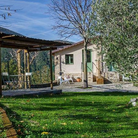 Le Voltarelle Bed & Breakfast Bed and Breakfast Serra San Quirico Exterior foto